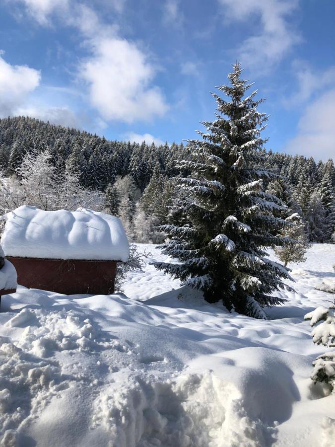 Gite Moya Gérardmer Esterno foto